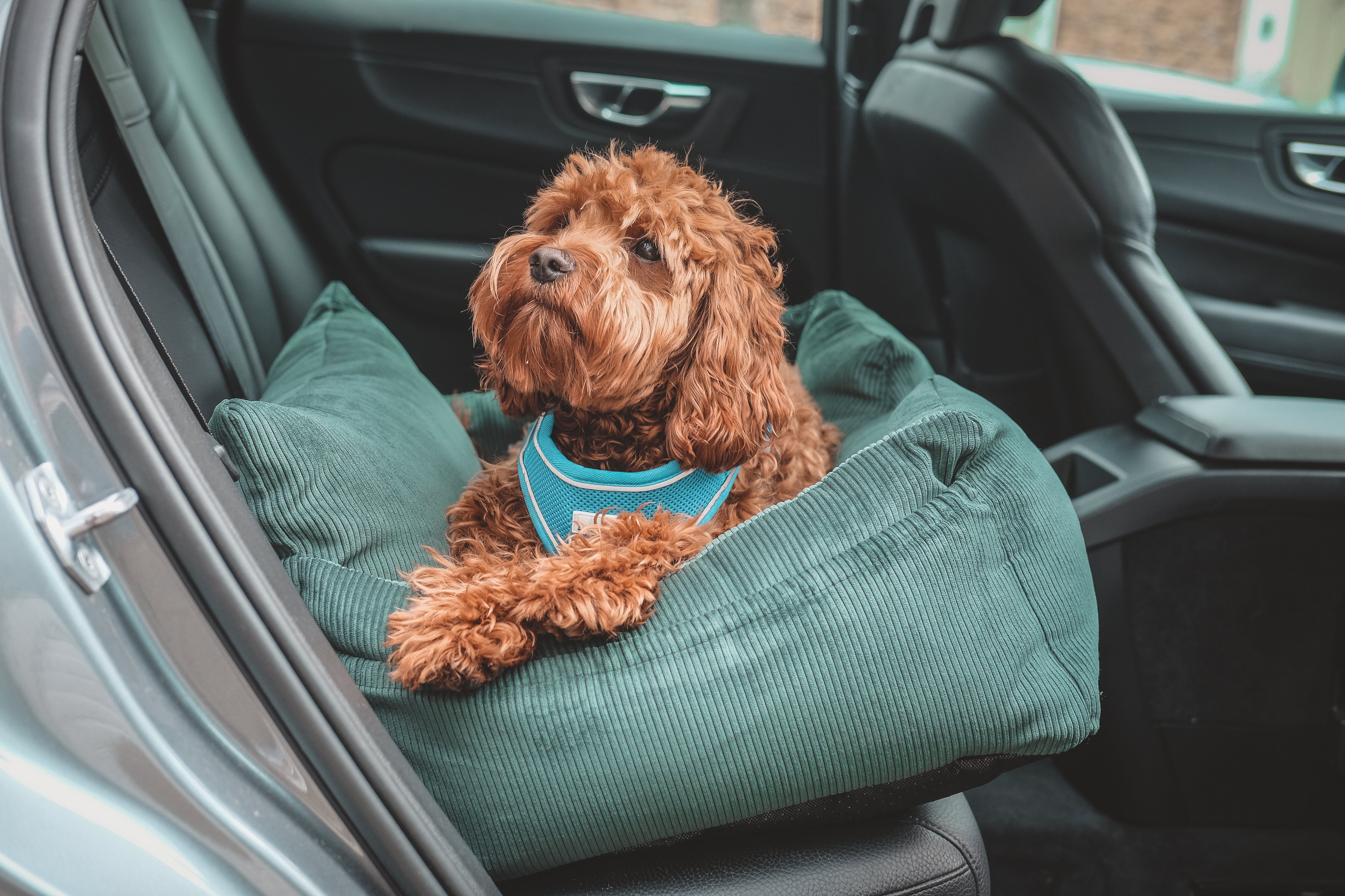 Luxury Large Dog Car Seat - Country Green