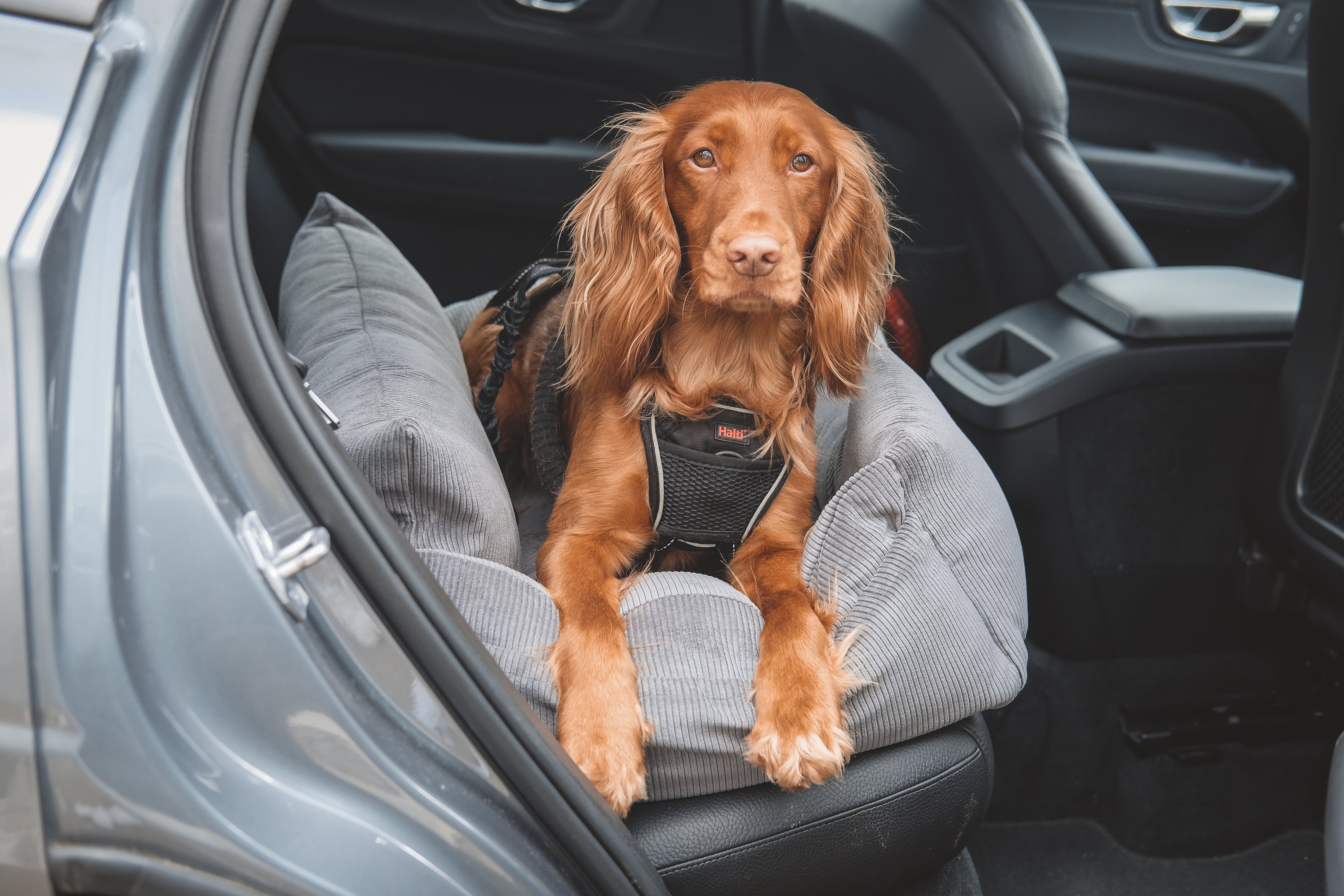 Luxury Large Dog Car Seat - Gunmetal Grey