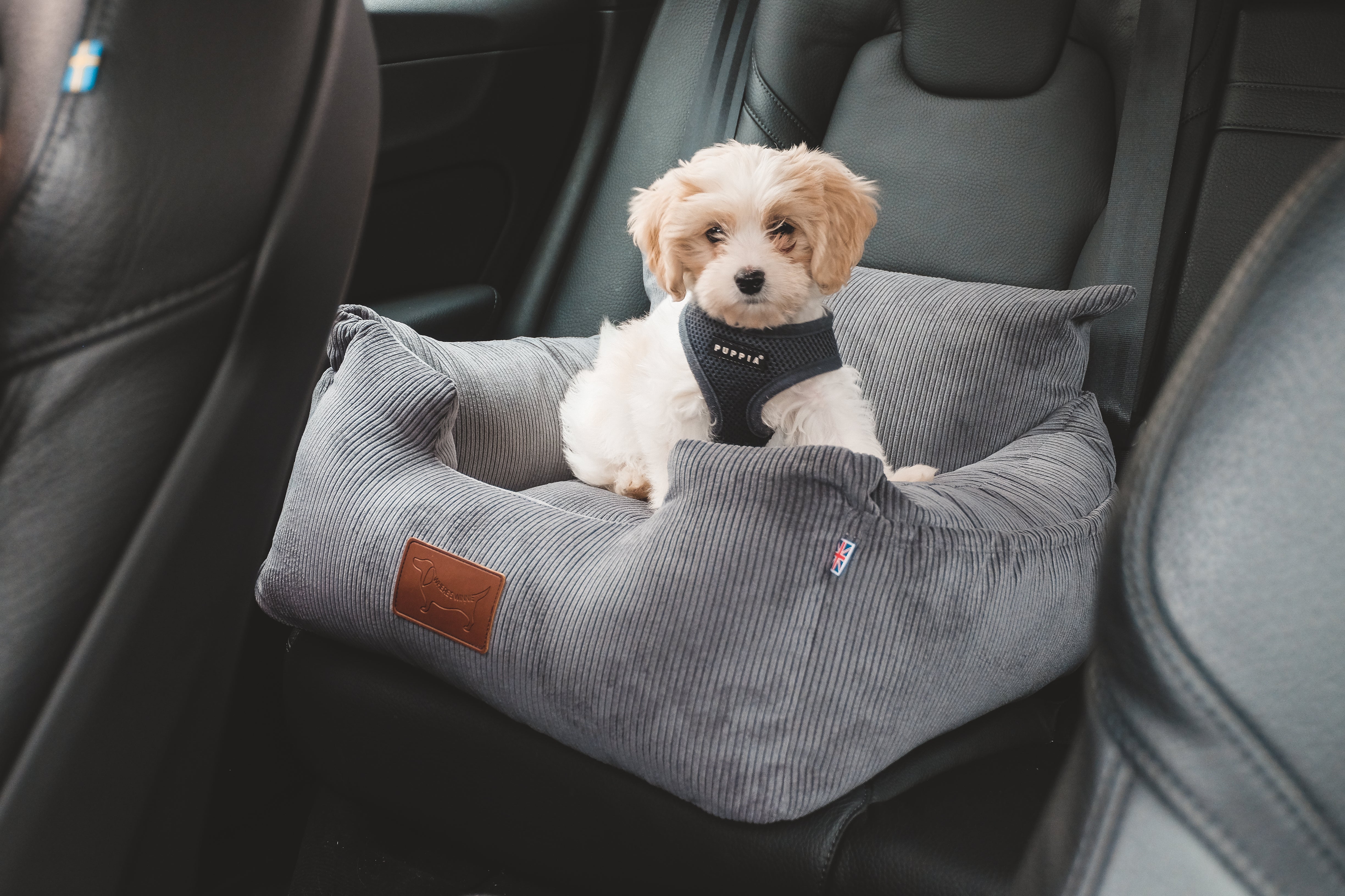 Luxury Isofix Dog Car Seat - Gunmetal Grey