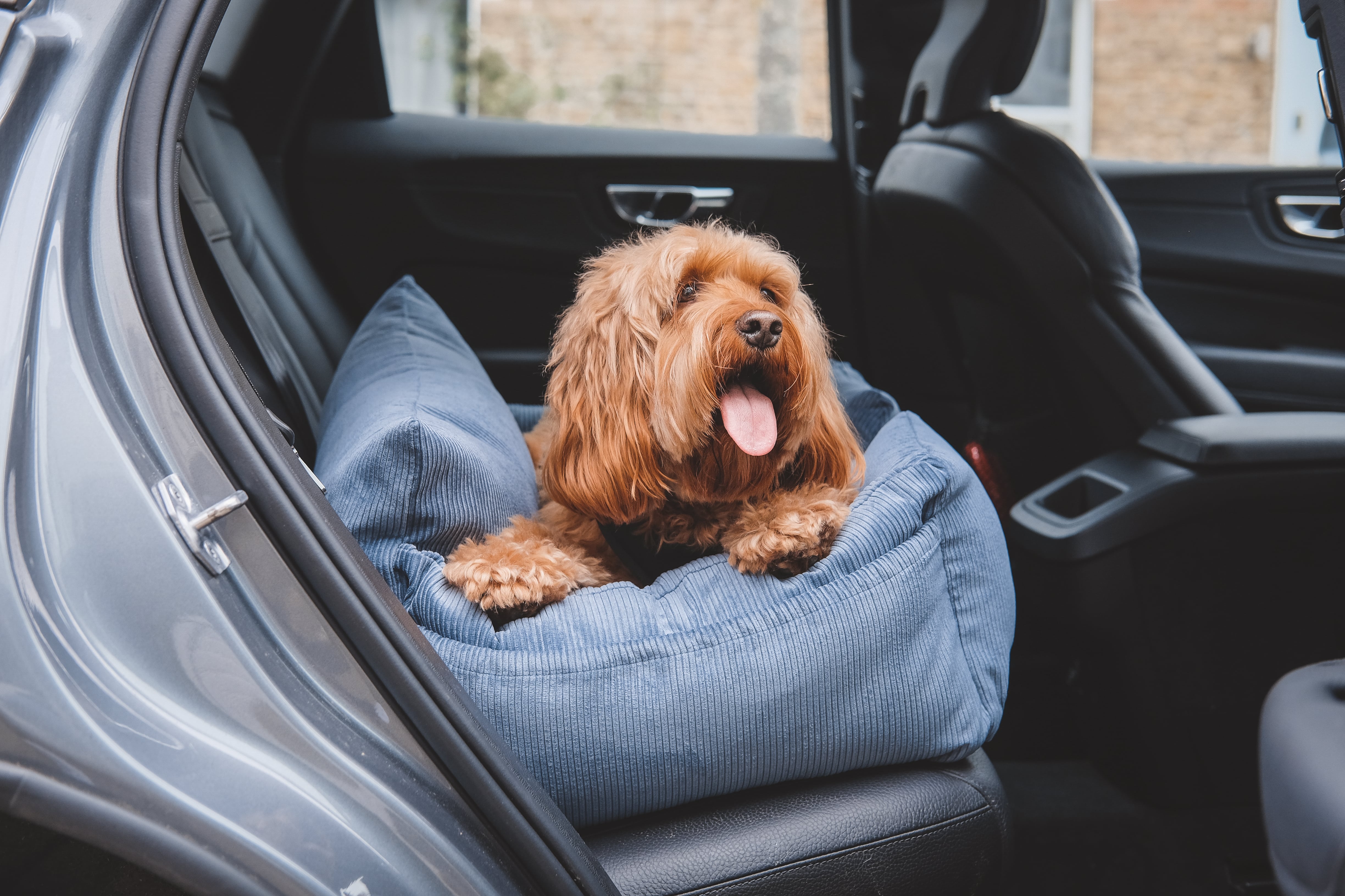 Where's Winnie Luxury Dog Car Seats