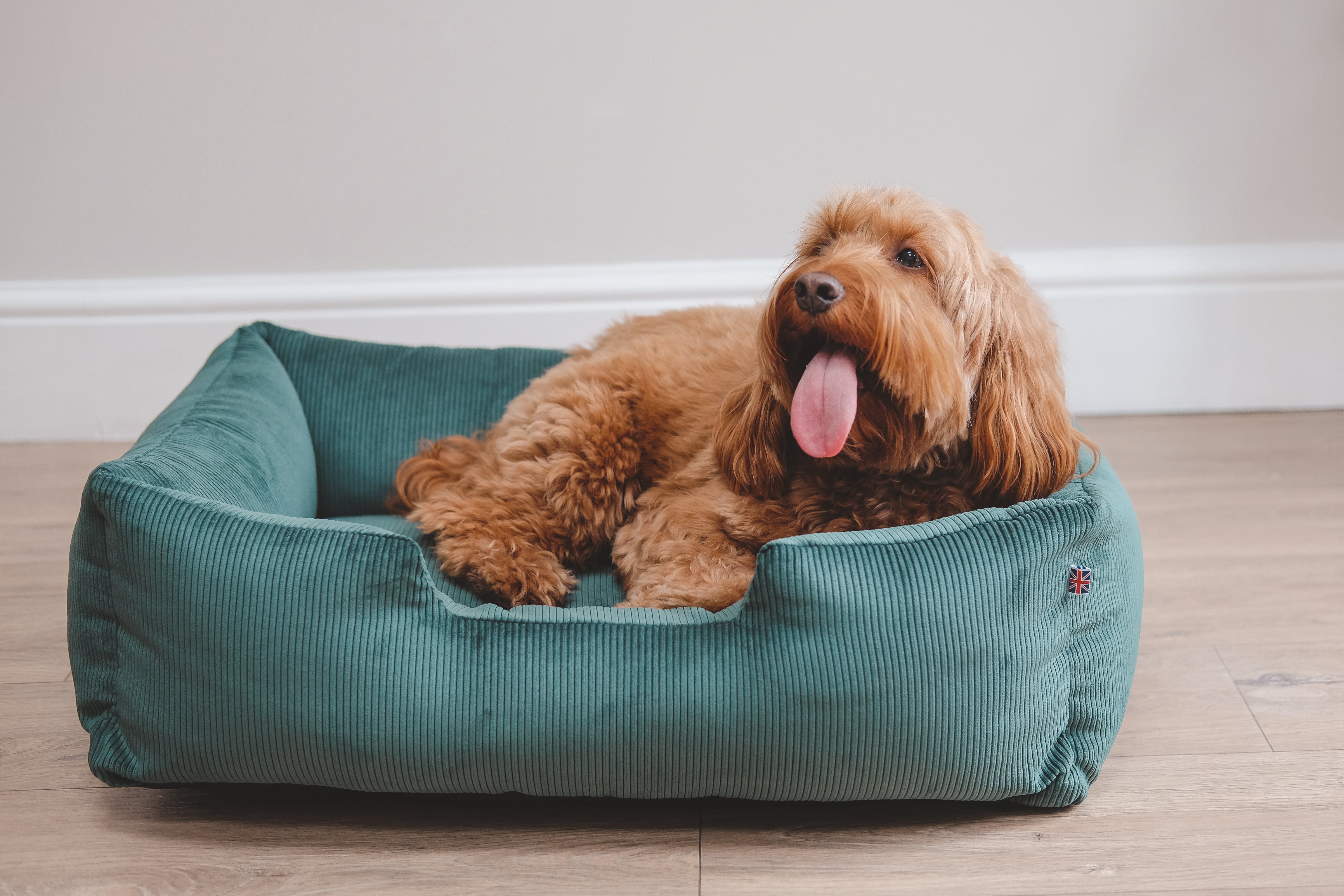 Corduroy Dog Bed - Country Green