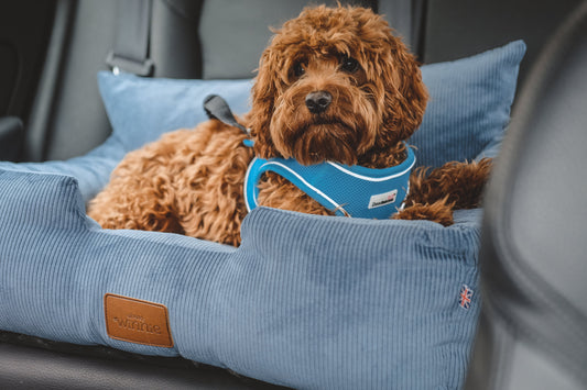 Luxury Large Dog Car Seat with Isofix