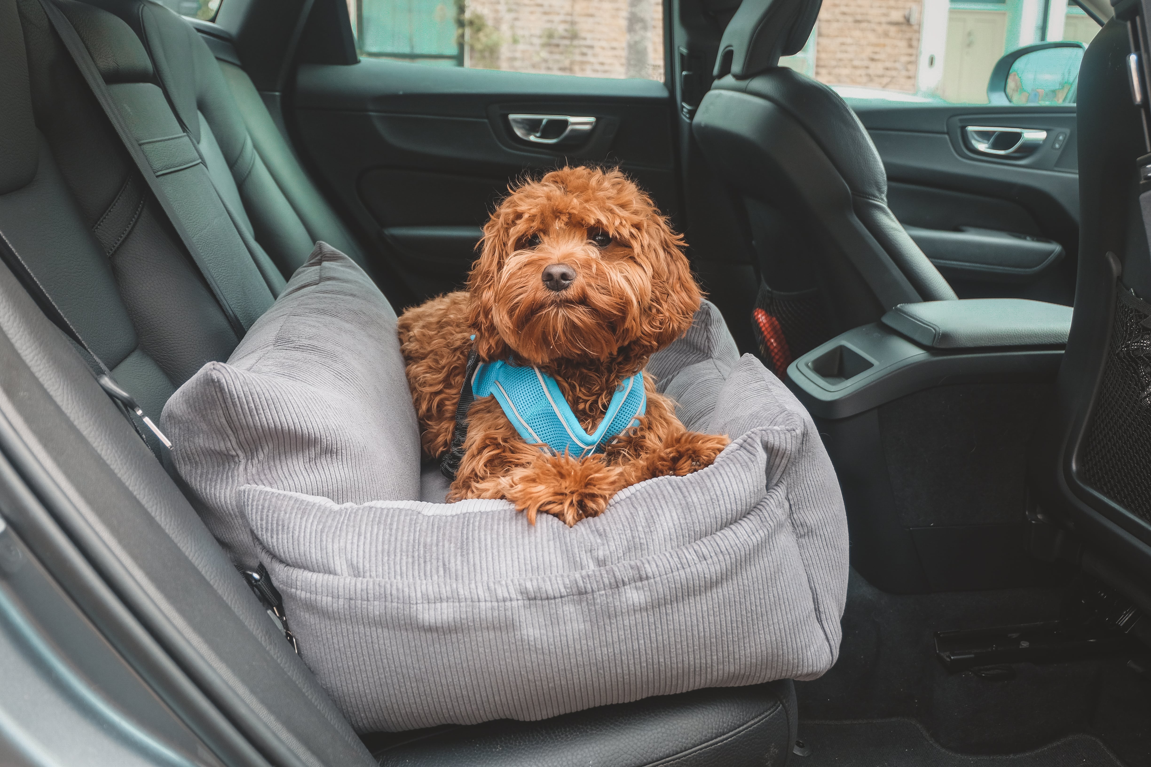 Luxury Large Dog Car Seat - Gunmetal Grey