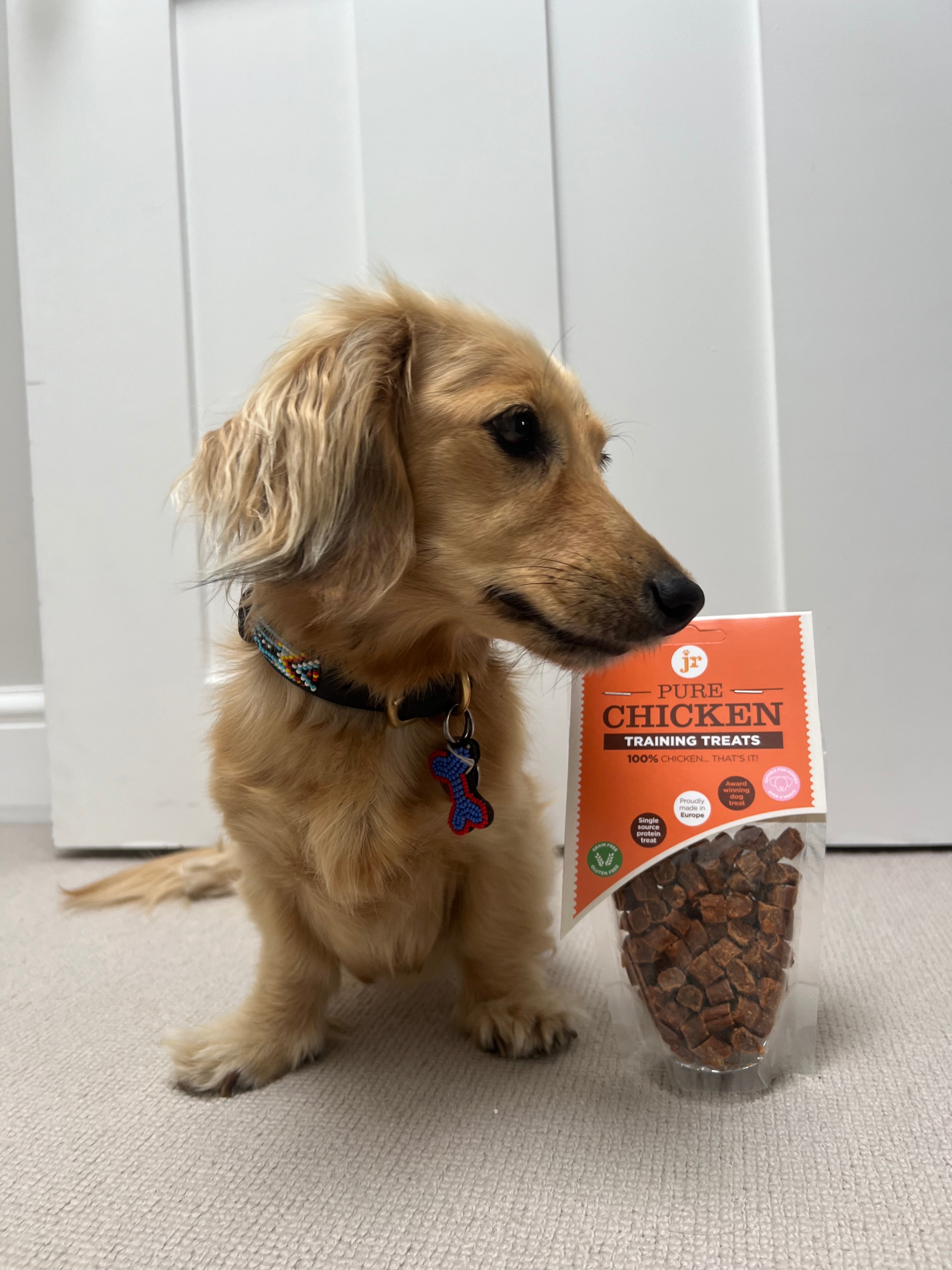 Pure Chicken Training Treats