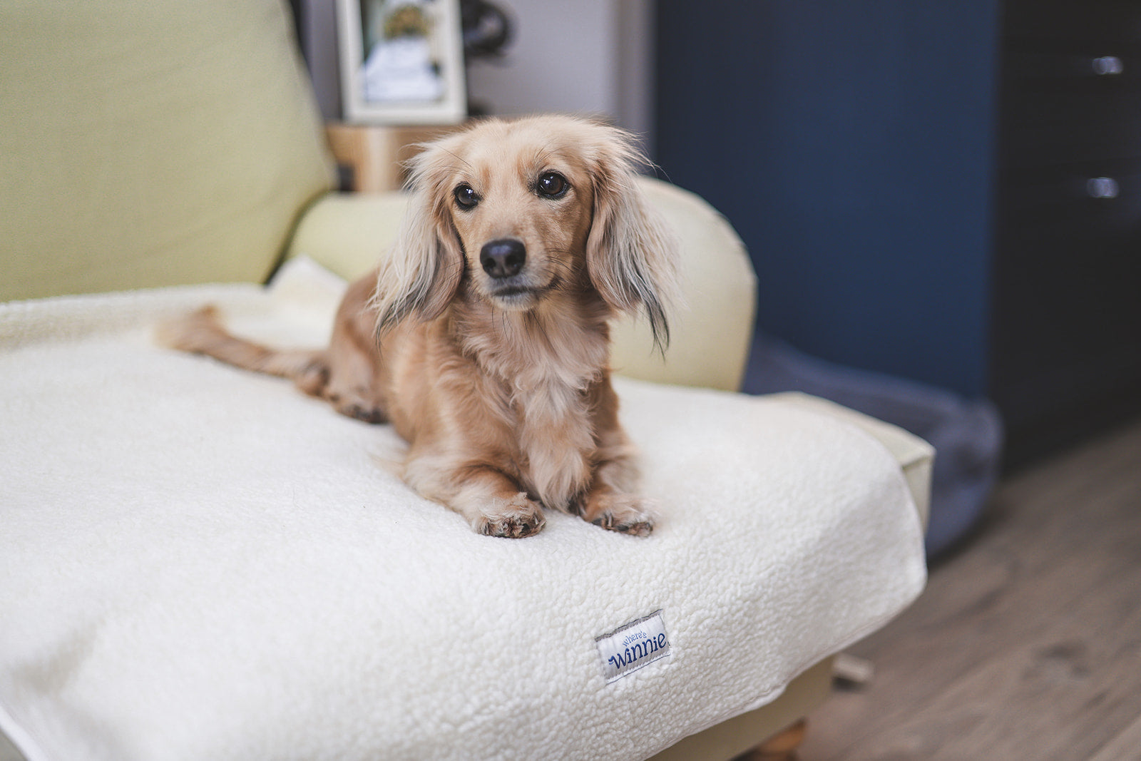 Sherpa Fleece Dog Blanket