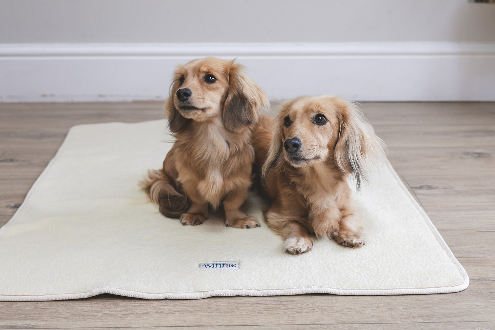 Sherpa Fleece Dog Blanket