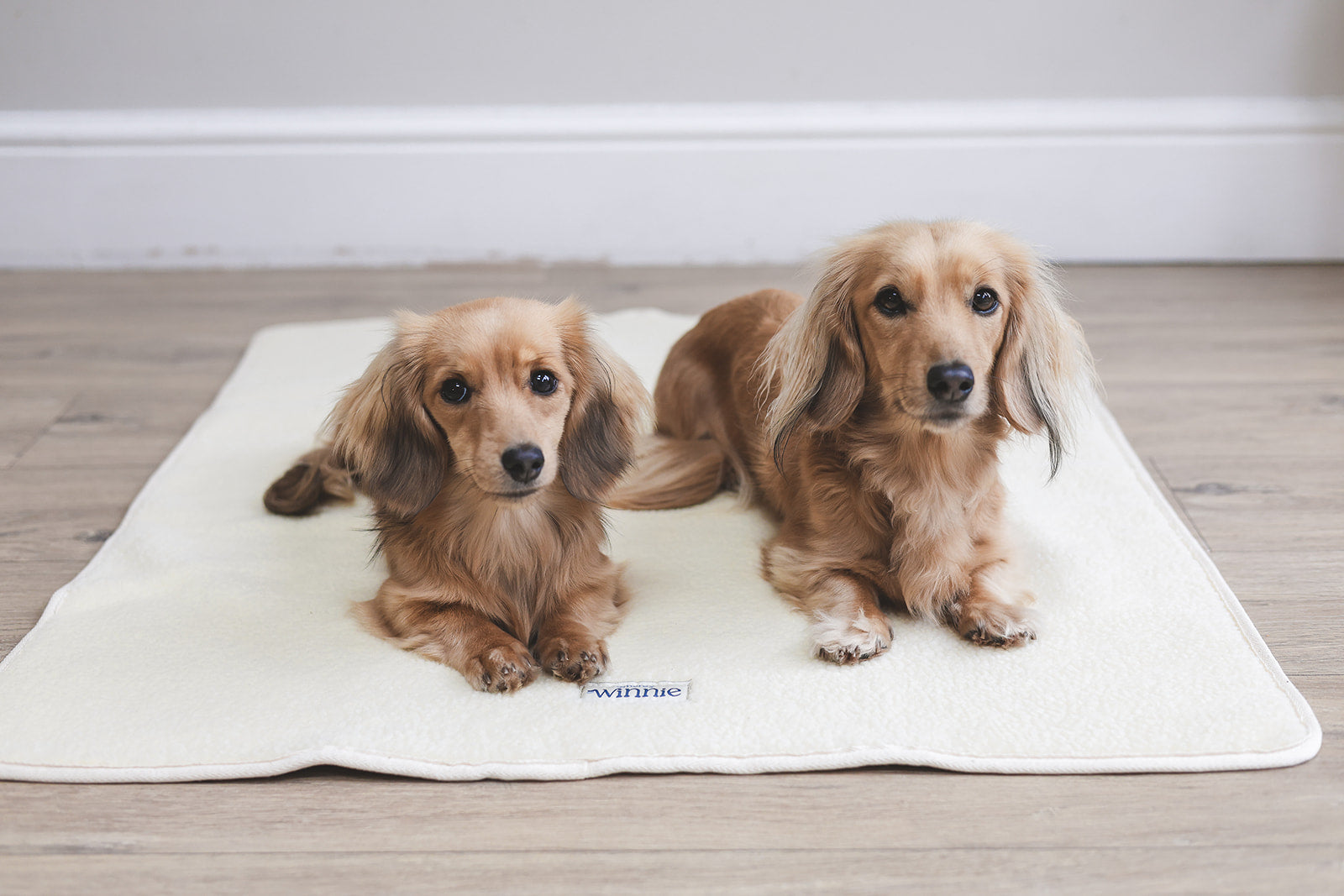 Sherpa Fleece Dog Blanket