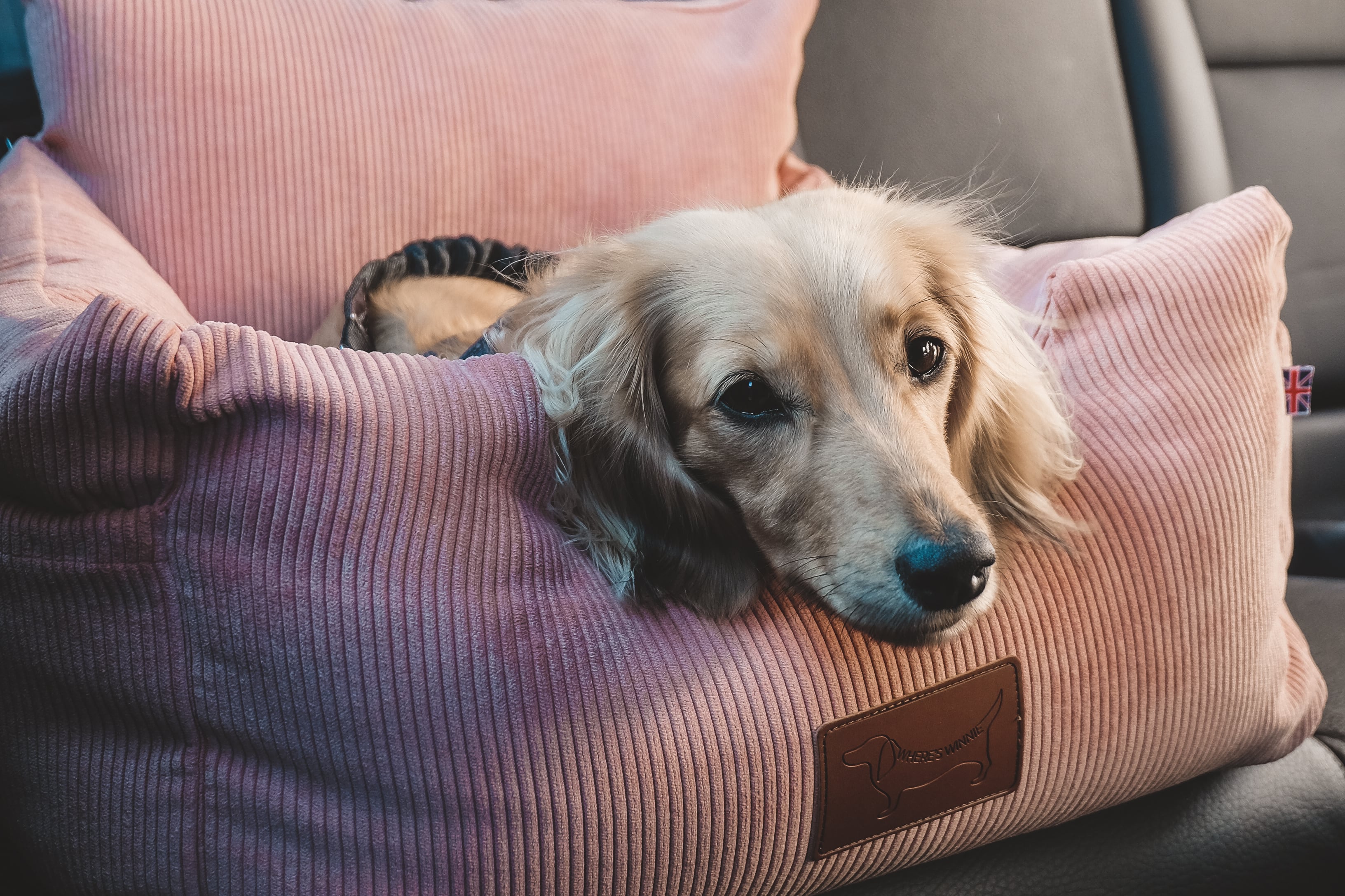 Luxury Isofix Dog Car Seat - Peachy Pink