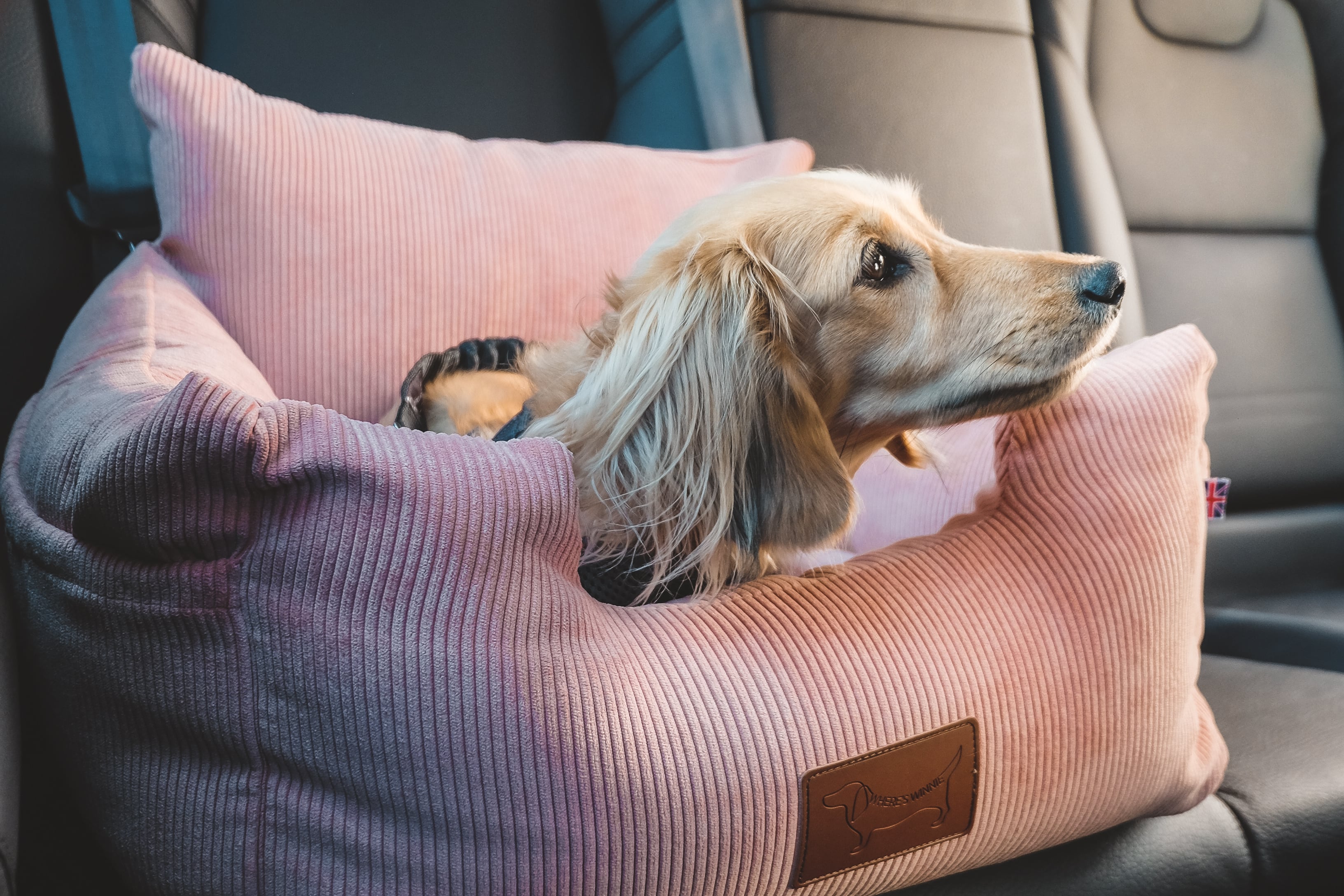 Luxury Isofix Dog Car Seat - Peachy Pink