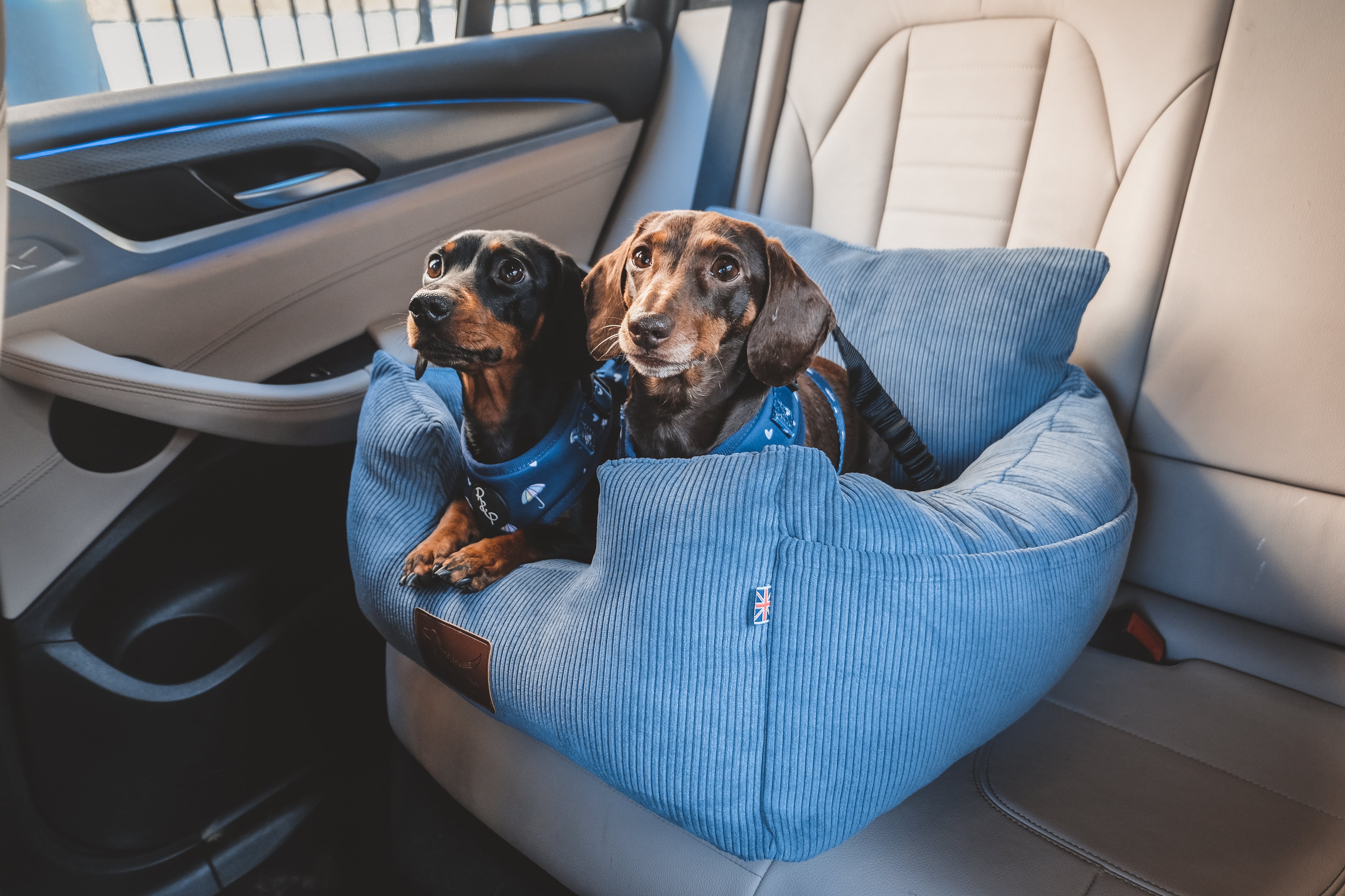 Luxury Isofix Dog Car Seat - Denim Blue