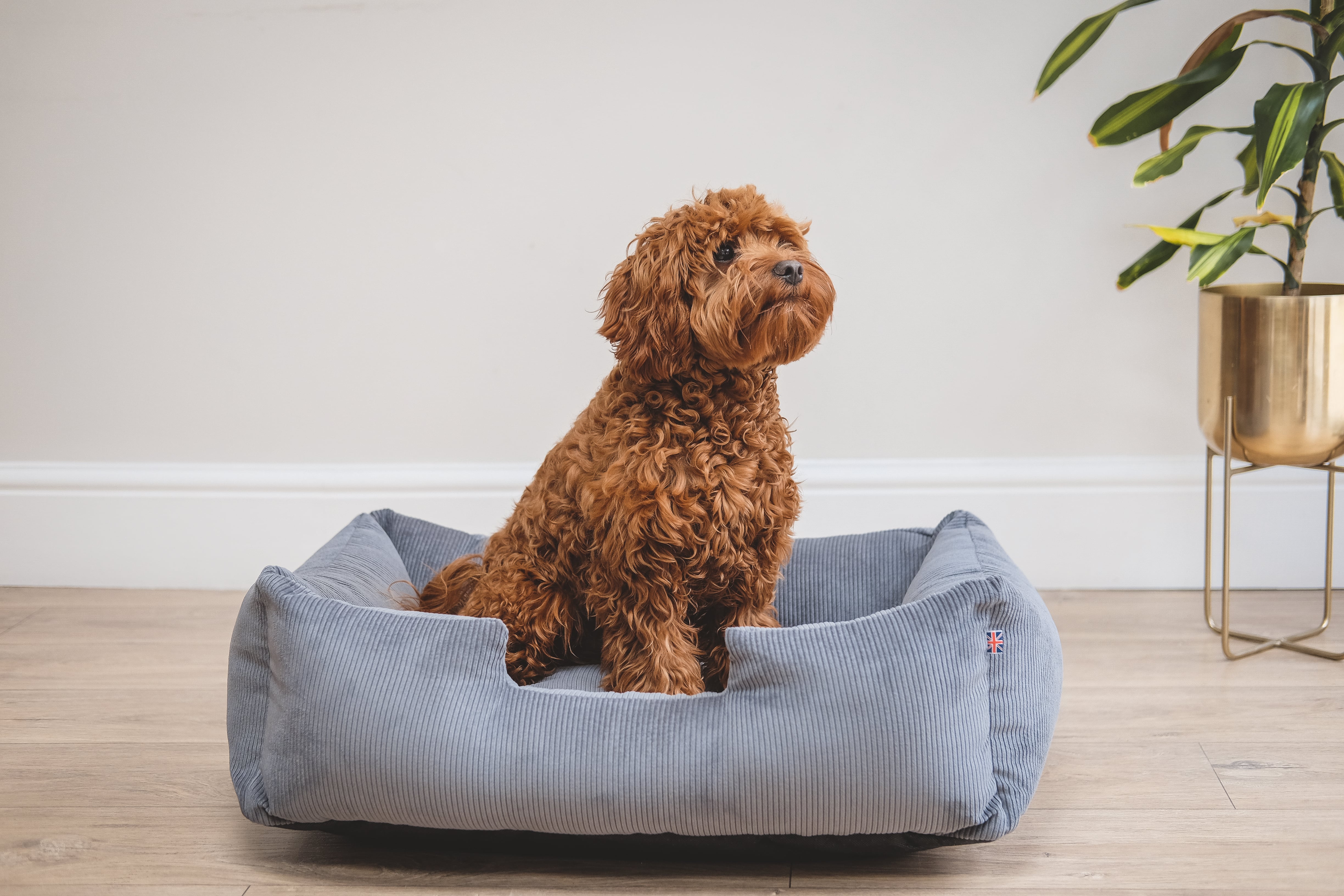 Corduroy Dog Bed - Gunmetal Grey