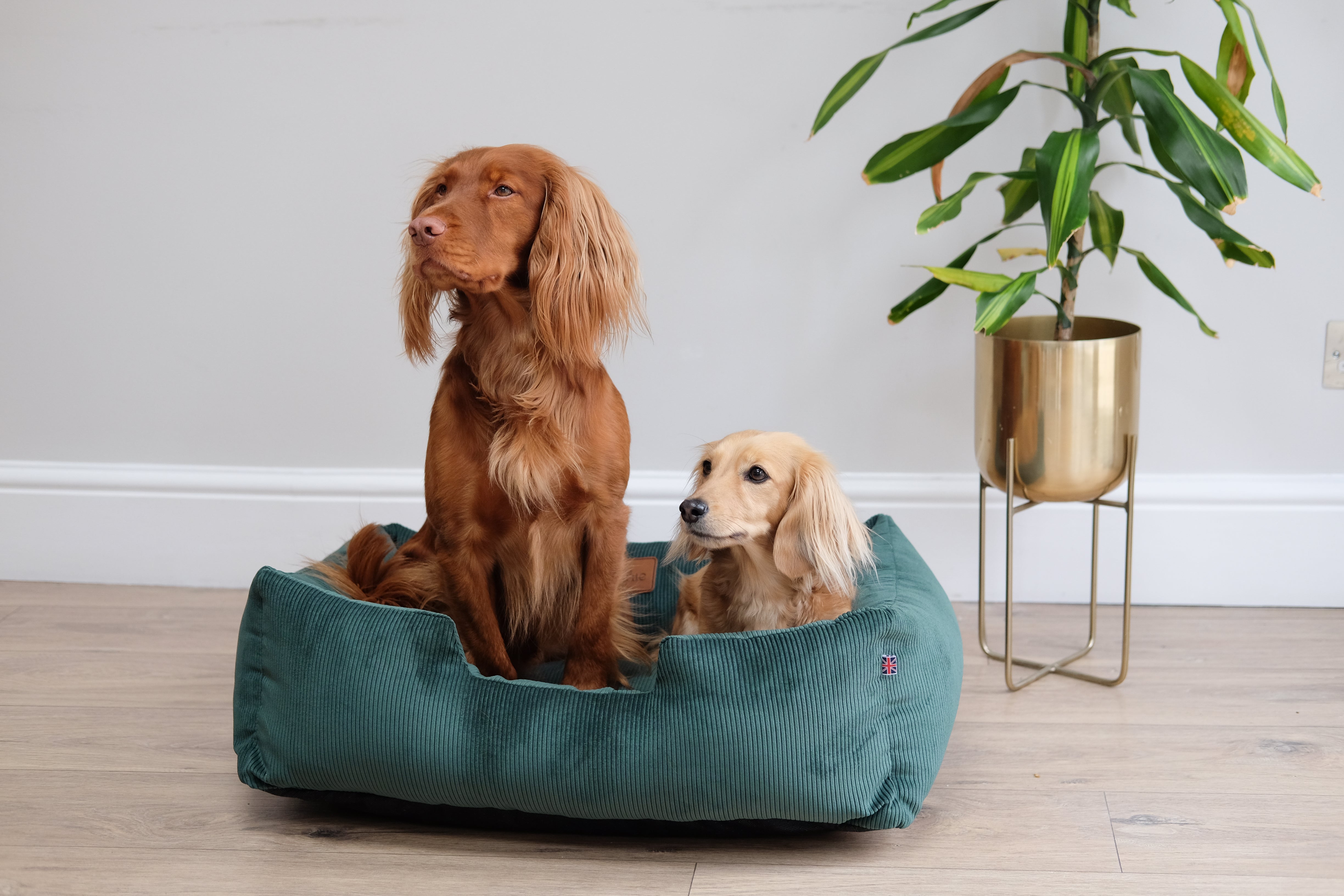 Corduroy Dog Bed - Country Green