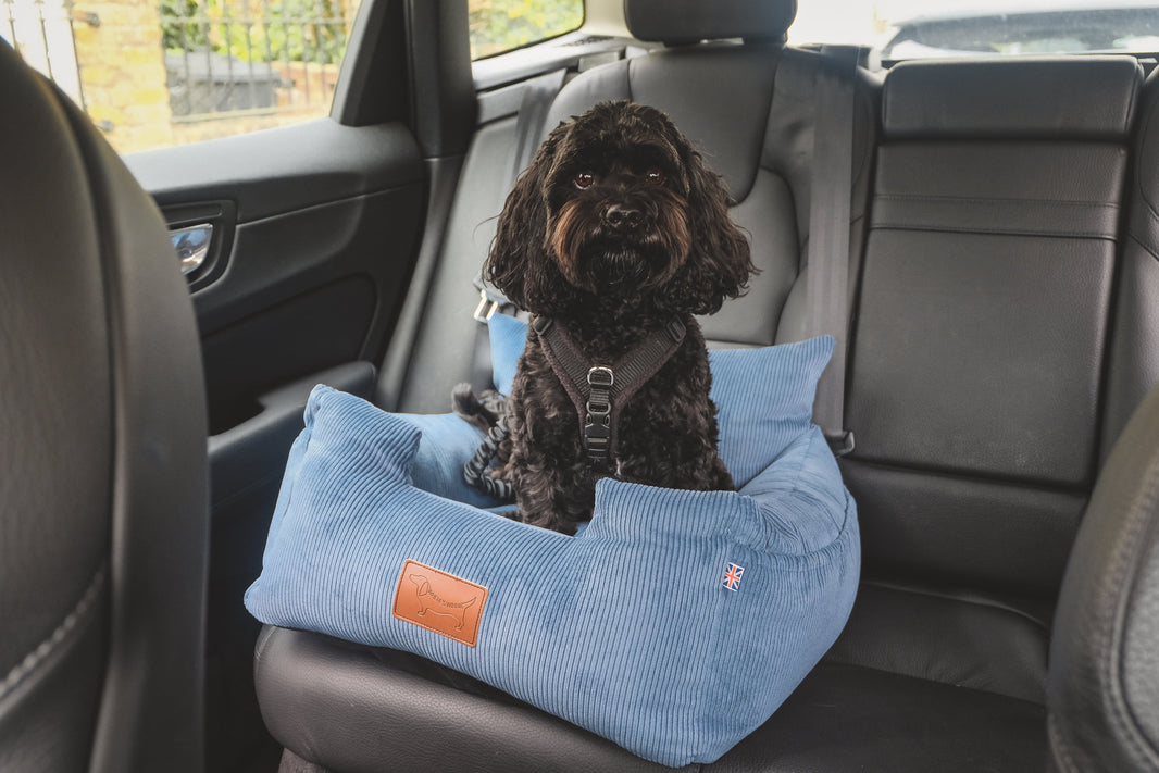 Where's Winnie | Safe, Comfortable & Sustainable Luxury Dog Car Seats