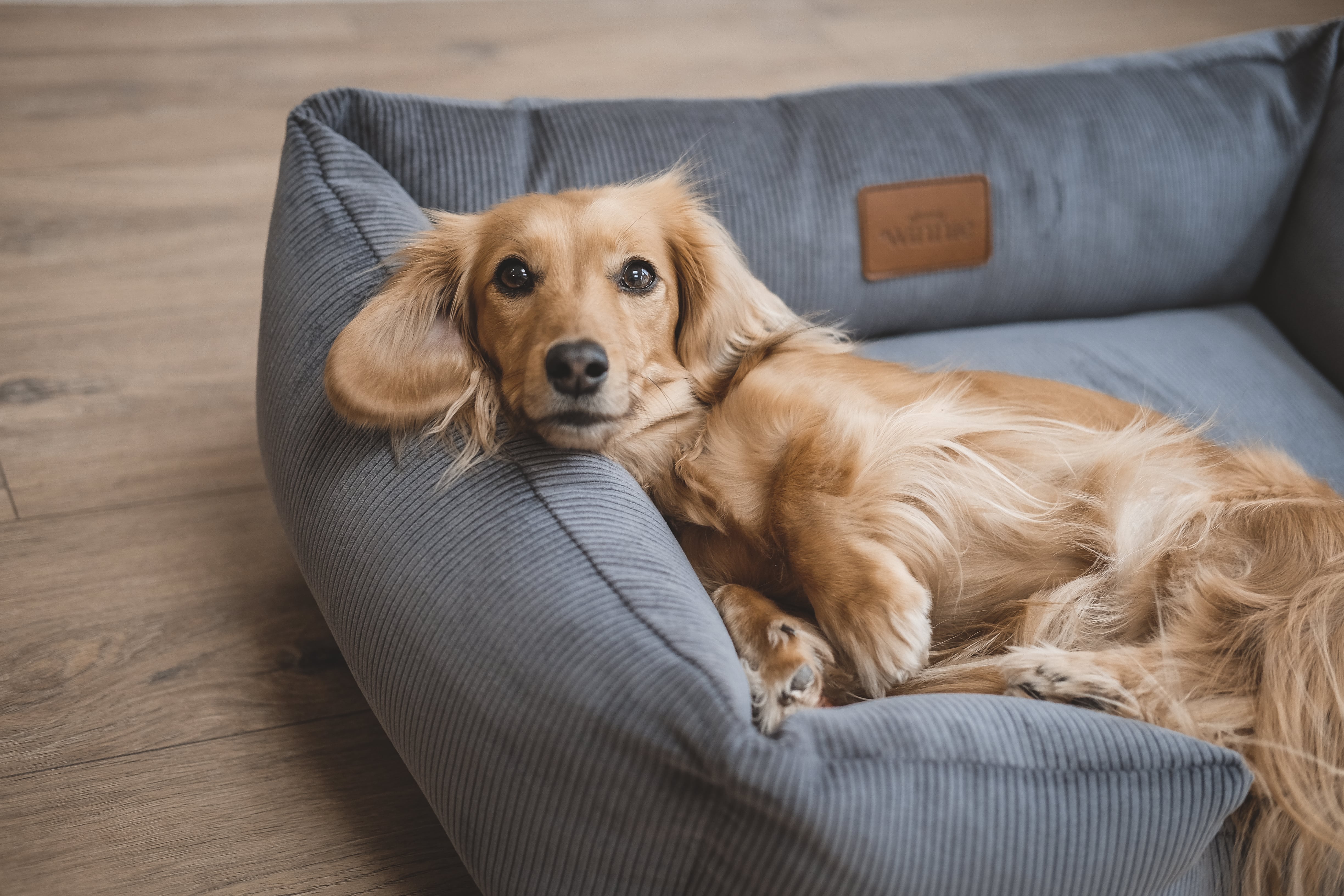 Corduroy Dog Bed - Gunmetal Grey