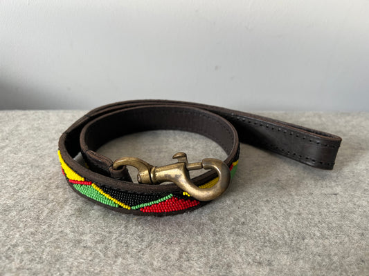 Dog Lead - Rasta