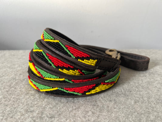 Dog Lead - Rasta